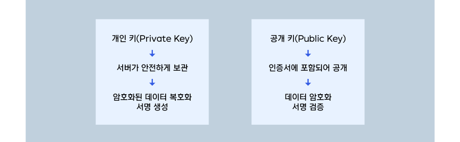 certificate_2_900.png