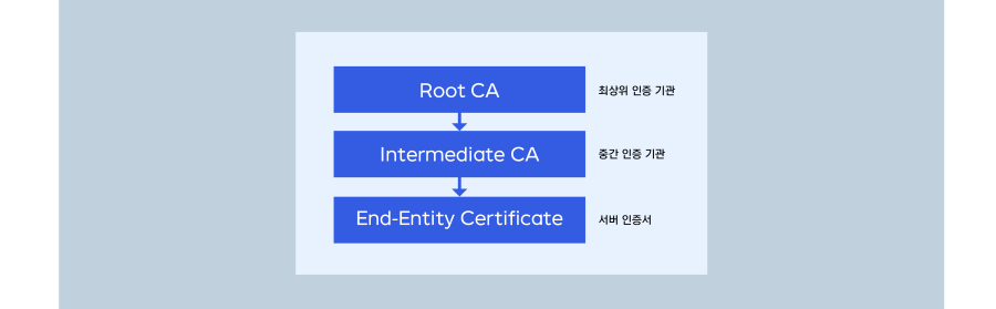 certificate_4_900.png