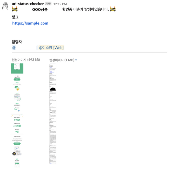 page 로드가 끝나기 전에 URL Checker가 캡처한 사진으로 인한 오류상황