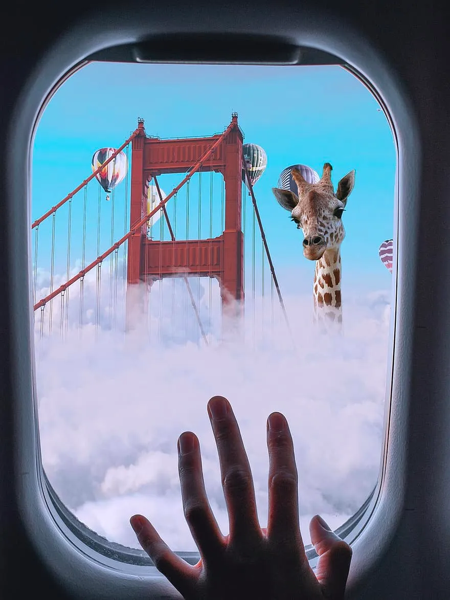 giraffe.png