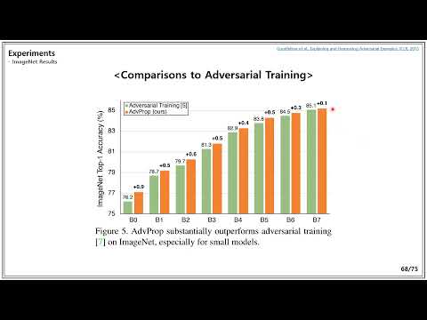 Adversarial Training